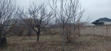 Torpaq sahələrinin satışı: 15 sot, Tikinti, Mülkiyyətçi, Kupça (Çıxarış), Bələdiyyə, Müqavilə — 14