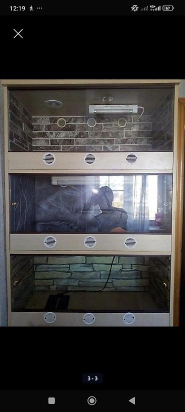 Зоотовары: Террариум, аквариум, палюдариум, флорариум, стеллажи для змей — 8