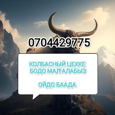 колбасный: Частное лицо, Колбасный цех | Любое состояние, Забитый, Круглосуточно — 5