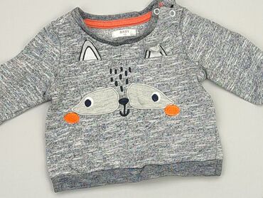 sweterek reglanowy dla dziecka: Sweatshirt, 3-6 months, condition - Very good