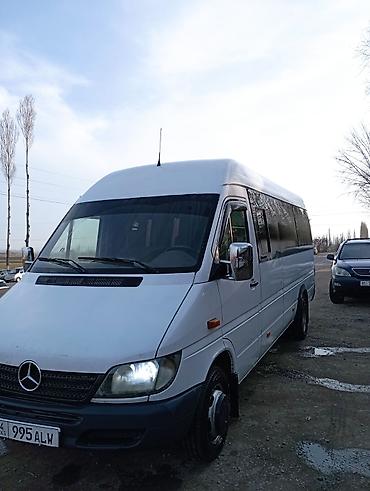 Mercedes-Benz: Mercedes-Benz C-class AMG: 2016 г., 2.7 л, Механика, Дизель, Бус — 4