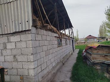 Продажа коттеджей и домов: Продаётся земельный участок с домом и хозяйственными постройками — 10