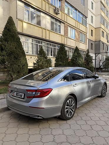 Honda: Honda Accord: 2019 г., Седан — 6