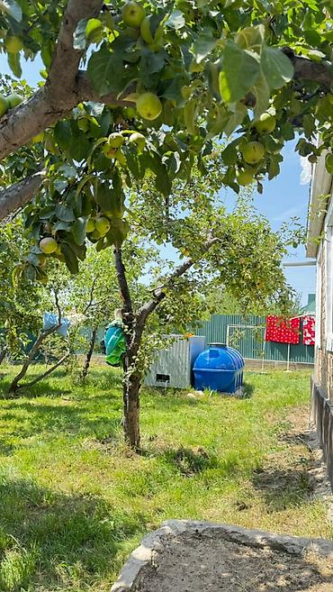 Продажа коттеджей и домов: 🏡✨ Продаётся уютный дом на берегу прекрасного Иссык-Куль ✨🏔️ 📍 Район — 8