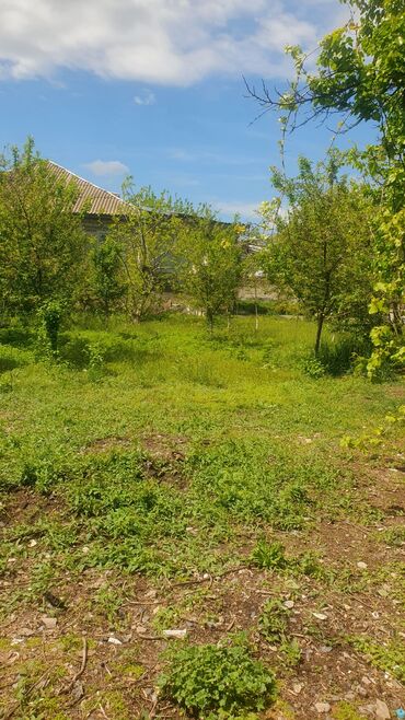 Həyət evləri və villaların satışı: 5 otaqlı, 180 kv. m, Kredit yoxdur, Orta təmir — 17