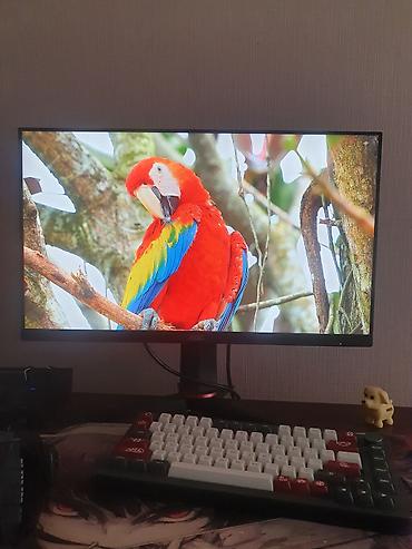 Monitorlar: Qiymət barədə razılaşmaq olar; monitor 750 manata alınıb və endirimlə — 3