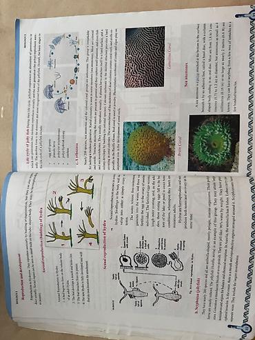 Книги и журналы: Məhsul: Biology II – 8 (Biology Series) dərsliyi Təsvir: - “İ” üçün — 5