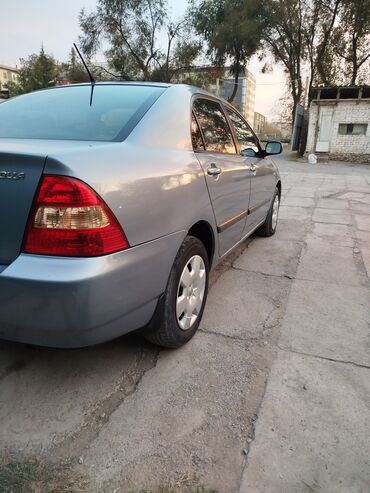 машины дешево: Toyota Corolla: 2004 г., 1.6 л, Механика, Бензин, Седан