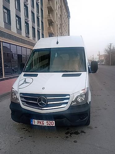 Mercedes-Benz: Mercedes-Benz Спринтер: 2016 г., 3 л, Автомат, Дизель, Бус — 3