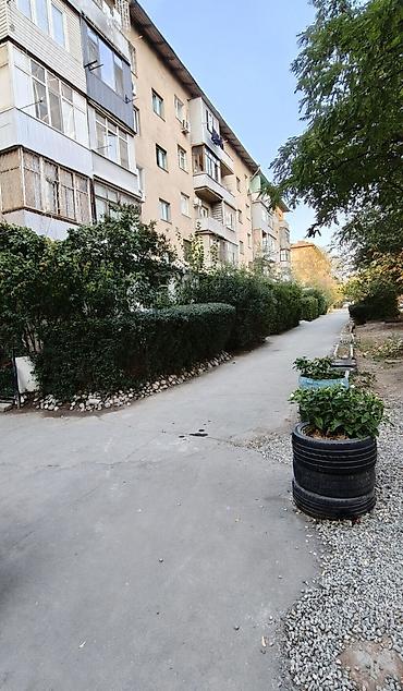 2 комнаты, 48 м², Политех Индивидуалка, 3 этаж