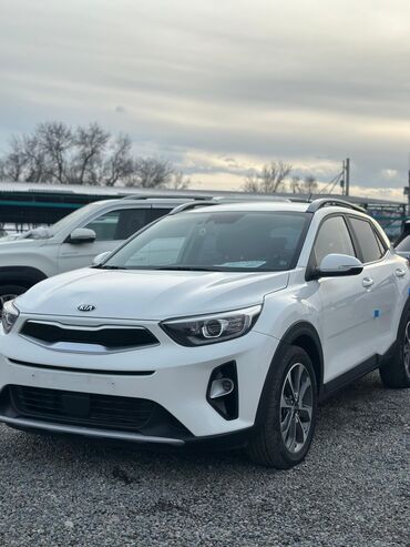 Kia: Kia Stonic: 2019 г., 1.4 л, Автомат, Бензин, Кроссовер — 5
