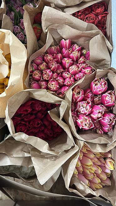 Букеты из живых цветов: Свежие тюльпаны в большом количестве! 🌷 💰 Цены: — В розницу —130 — — 3
