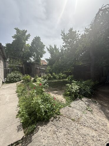 арзан жер бишкек: 2 соток, Курулуш, Кызыл китеп, Техпаспорт