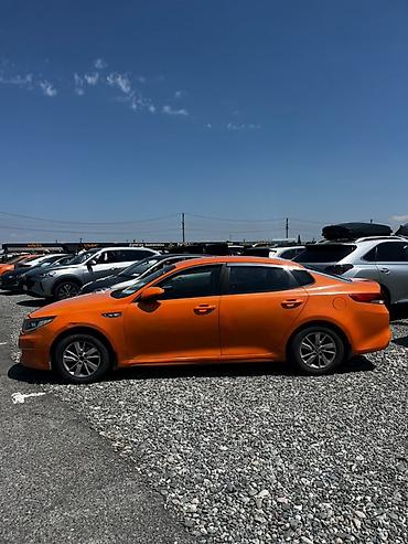 spark 2017: Kia K5: 2017 г., 2 л, Газ, Седан — 4