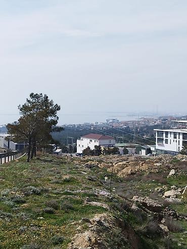 salyan: 12 sot, Tikinti, Mülkiyyətçi, Kupça (Çıxarış) — 2