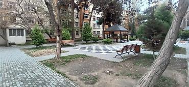 binəqədi: Bakı, 6-cı mikrorayon, 1 otaqlı, Köhnə tikili, m. Nəsimi, 38 kv. m — 8