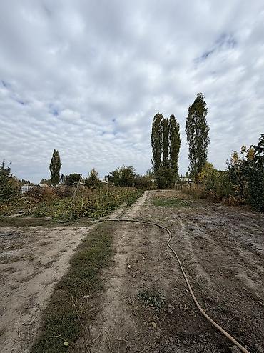 дом село грозд: 5 комнат, 140 м², 20 соток, Бишкек, Собственник — 3