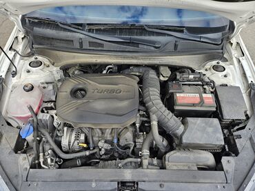 Kia: Kia K3: 2019 г., 1.6 л, Автомат, Бензин, Седан — 11