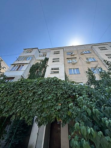 50: 2 комнаты, 50 м², 105 серия, 1 этаж, Требуется ремонт — 3