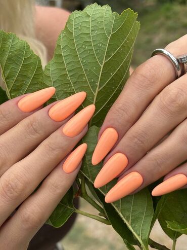 Manikür, pedikür: Manikür, Korreksiya, Salonda — 29