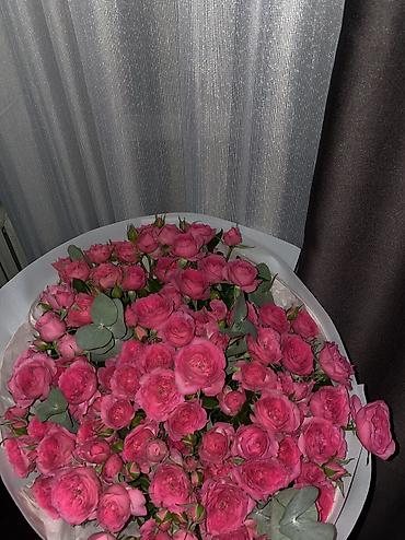 отдам даром комнатные цветы: 3000сом — 2