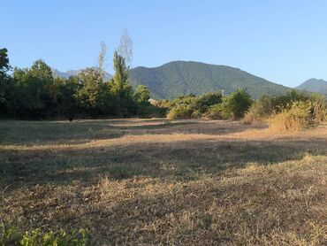 Torpaq sahələrinin satışı: 21 sot, Tikinti, Mülkiyyətçi, Kupça (Çıxarış) — 1