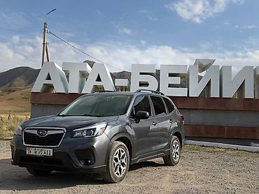 forest: Subaru Forester: 2020 г., 2.5 л, Вариатор, Бензин, Кроссовер — 1