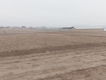 Продажа участков: 1300 соток, Для сельского хозяйства, Договор купли-продажи — 19