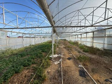 Baklar və çənlər: 📍 Satılır: metal lom qiymetine deyerinden cox ucuz Hazır İstixana