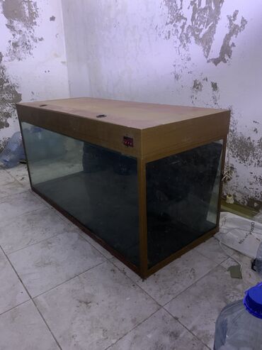 akvarium filter: Dördbucaq akvarium, Boş, 300 l, Ünvandan götürmə