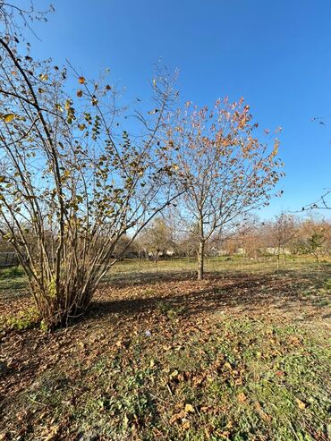 Torpaq sahələrinin satışı: 18 sot, Tikinti, Kupça (Çıxarış) — 4