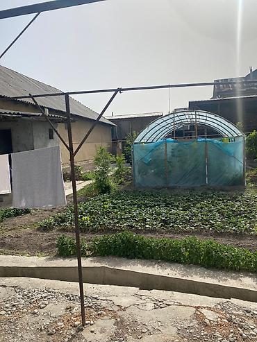 Продажа коттеджей и домов: Дом находится в сузаке Ватсапп ноль пятьсот пятьдесят сто семьдесят — 6