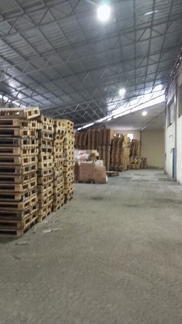 Другие услуги: Поддон Полет Прадаю Опытом — 3