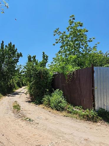 Продажа участков: 5 соток, Для строительства, Тех паспорт, Красная книга, Договор купли-продажи at lalafo.kg — 4 Продажа участков: 5 соток, Для строительства, Тех паспорт, Красная книга, Договор купли-продажи — 4