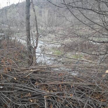 Torpaq sahələrinin satışı: 8 sot, Tikinti, Bələdiyyə — 3