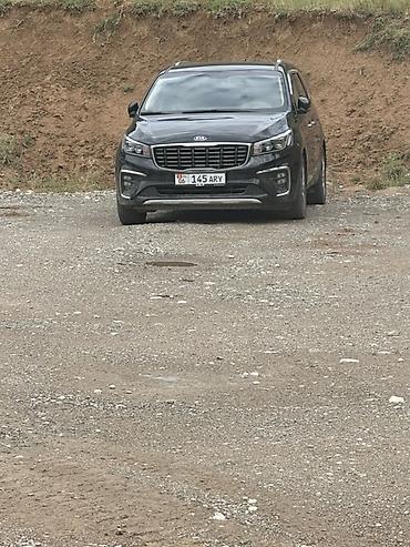 ли 9 авто: Kia Carnival: 2020 г., 2.2 л, Автомат, Дизель, Минивэн — 6