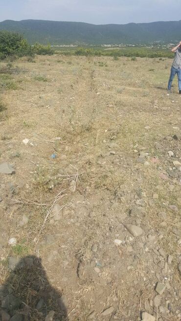 hazır ipotekada olan evlər: 3 sot, Tikinti, Kupça (Çıxarış)