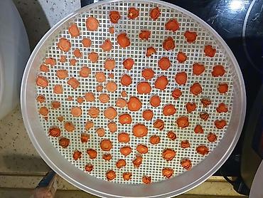 Сушилки для овощей и фруктов: Дегидраторы-сушилки для овощей и фруктов российского производства — 8