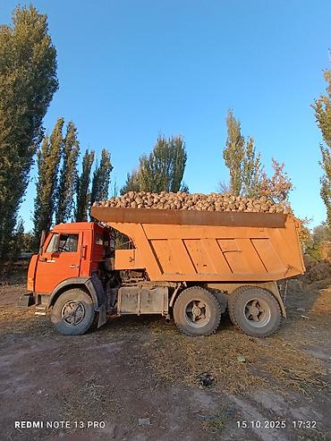 Грузовики: Грузовик, Камаз, Стандарт, Б/у — 1