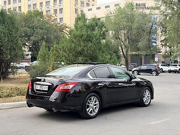 подушка для попы: Nissan Maxima: 2010 г., 3.5 л, Автомат, Бензин, Седан — 1