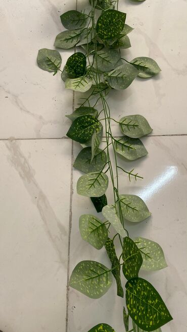 Digər ev dekoru: 5 man baslayan qiymetler Minumal qiymetler topdan ve perakenden satis -da lalafo.az — 21 Digər ev dekoru: 5 man baslayan qiymetler Minumal qiymetler topdan ve perakenden satis — 21