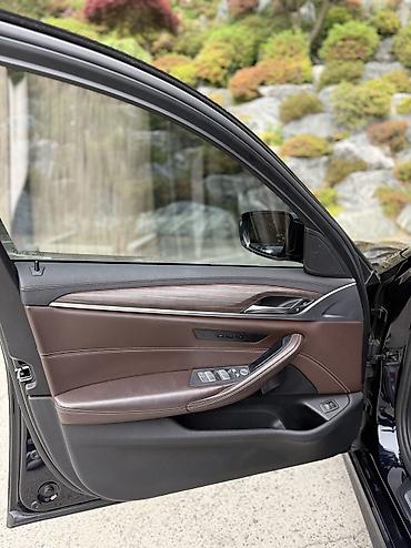 BMW: BMW 5 series: 2019 г., 2 л, Автомат, Бензин, Седан — 15