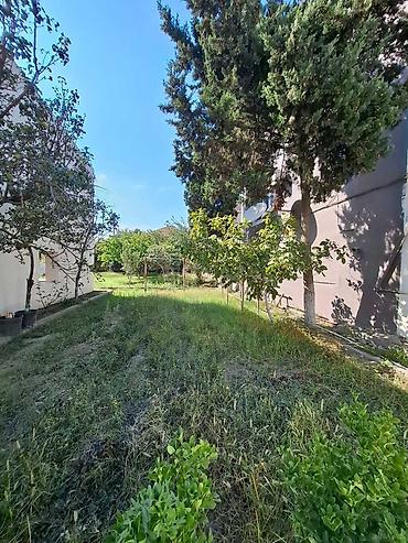 ucuz ev: Bakı, Novxanı, 180 kv. m, 5 otaqlı, Kombi — 1