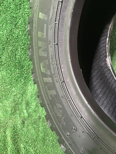 byd e9 1: 10.0/75-15.3 14PR Шины Tianli — 5