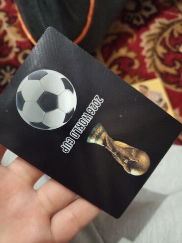 тренажер инверсионный стол: Коллекционные карточки по футболу — серия “WORLD FOOTBALL STARS / 2026