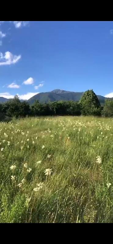 qalada torpaq: 52 sot, Kənd təsərrüfatı, Mülkiyyətçi, Kupça (Çıxarış) — 5
