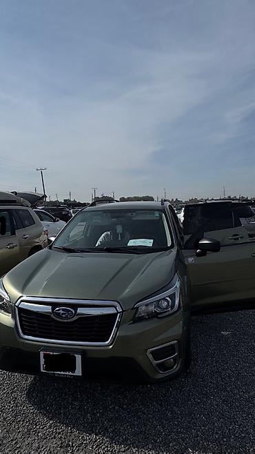 Subaru: Subaru Forester: 2021 г., 2.5 л, Автомат, Бензин, Кроссовер — 3