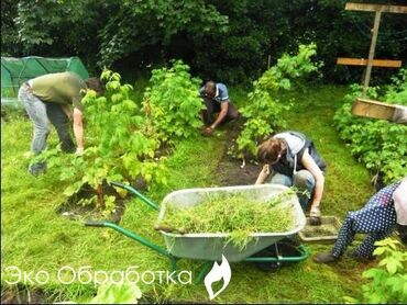 сладости востока бишкек вакансии: Нужны люди для прополки огорода