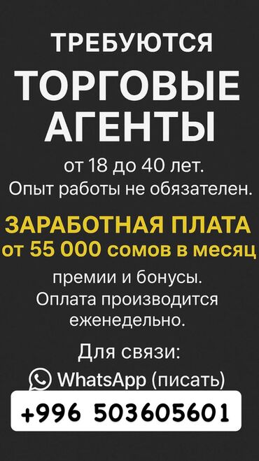 работа на дому удаленно без вложений: Вакансия: торговые агенты - Возраст: от 18 до 40 лет - Опыт работы не at lalafo.kg работа на дому удаленно без вложений: Вакансия: торговые агенты - Возраст: от 18 до 40 лет - Опыт работы не