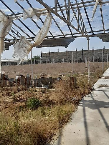 varovskide torpaq satilir: 135 sot, Biznes üçün, Kupça (Çıxarış) — 8